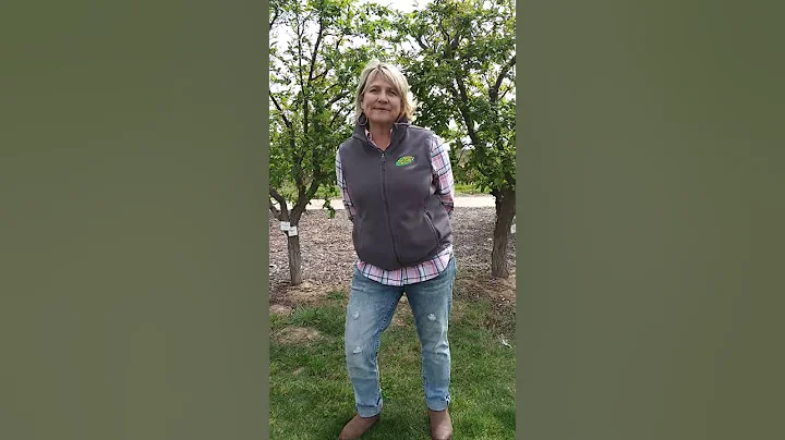 Meet Stacey Anderson