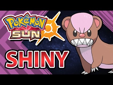 SHINY YUNGOOS HUNTING | POKEMON SUN AND MOON - SHINY YUNGOOS HUNTING | POKEMON SUN AND MOON