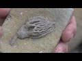 Discovering - Fossil Hunting with Paleo Joe