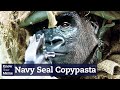Navy Seal Copypasta German