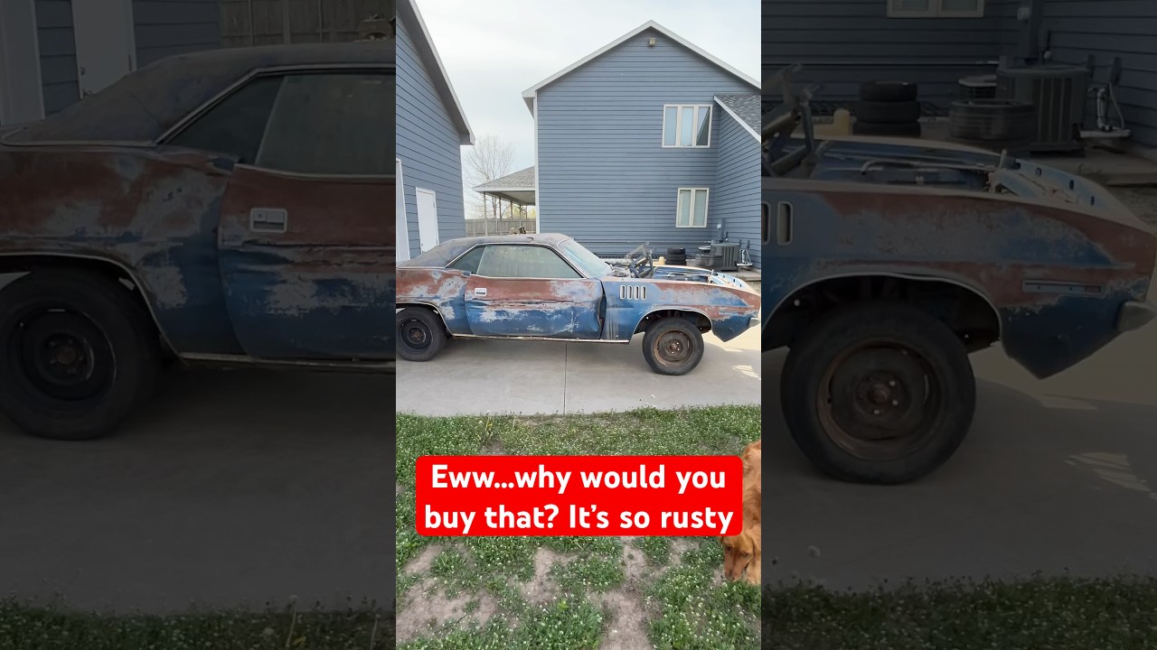 1971 Plymouth Cuda 383 big block Barracuda Survivor ratty Mopar 1970 Dodge Charger challenger 1969