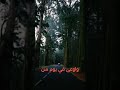 قوم ياابني شوف مصلحتك 