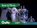 Tibetan Terrier wins Crufts Best In Show 2007 | Crufts Classics