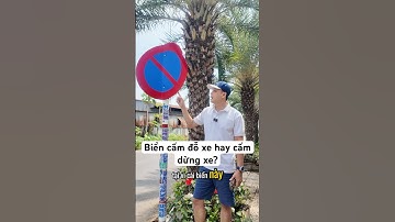 Tất cả các loại xe muốn dừng hoặc đỗ xe nên lưu ý biển này #anhthereview #bienbaogiaothong