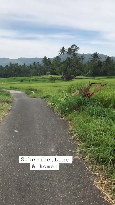Jalan pagi #fyp #shorts #video #trending #jalanjalan