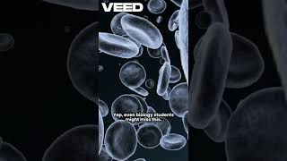 Snakes Surprising Anatomy Facts