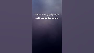 وآيه لهم الارض الميته احييناها واخرجنا منها حباً فمنه يأكلون|تلاوة مطلوبه فضيله الشيخ/ #سعود_الشريم