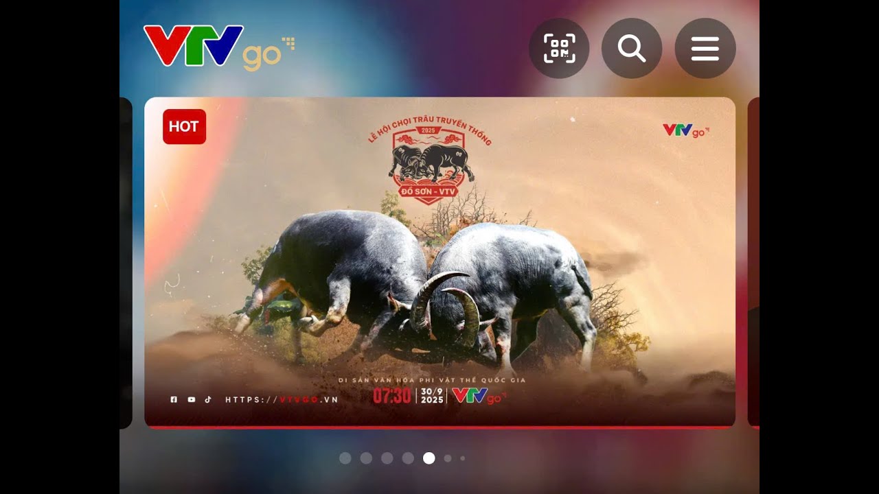 LỄ HỘI CHỌI TRÂU ĐỒ SƠN -  VTV 2025