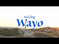 Mazing  wayo