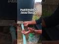 Pani Ki Safai Ka Asaan Tareeqa | Water Cleaning Process | Satisfying Cleaning Video#plumbingtips