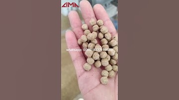 twin screw 500kg/h  wet type fish feed extruder @fish fam @fish farming @fish&fishing