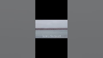 اللهم صلي وسلم على سيدنا محمد 😇 قرآن كريم 🎧