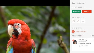 Web Collection App in Evolphin Zoom 8.0