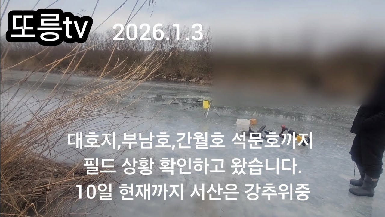 서산권 필드 상황 2탄 ^^ 