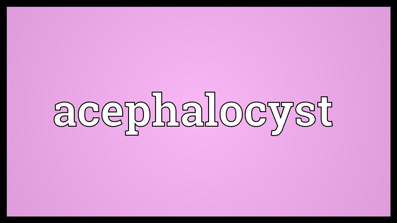 Acephalocyst Meaning