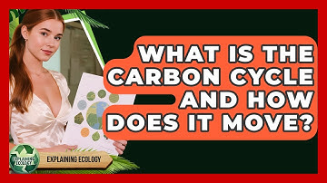 What Is The Carbon Cycle And How Does It Move? - Explaining Ecology