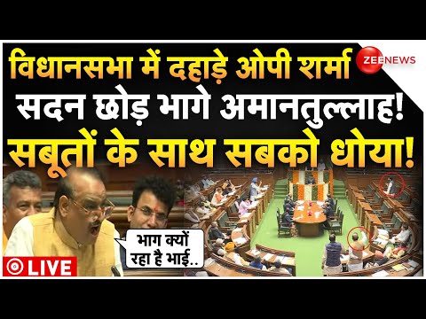 BJP MLA OP Sharma Speech In Delhi Assembly LIVE : सदन में दहाड़े ओपी शर्मा, भागे अमानतुल्लाह! CAG