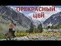 ПРЕКРАСНЫЙ  ЦЕЙ Северная Осетия июнь