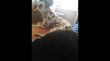 My old layout (cringe and bad Noclip accuracy)