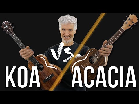 REVEALED! Differences between KOA wood ukuleles and ACACIA wood ukuleles!