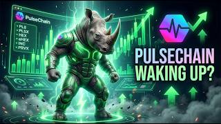 PulseChain Is Finally Waking Up?!