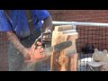 Canon Vixia HG21 camcorder test - Chainsaw Bear Art