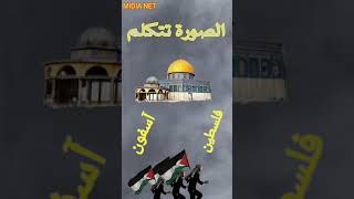 كلنا فلسطين⭐صورة تتكلم⭐⭐فلسطين نحن آسفون⭐فلسطين تقصفغزة 