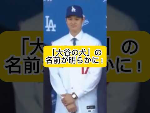 「大谷の犬」の名前がドジャース入団会見で明らかに！デコピン