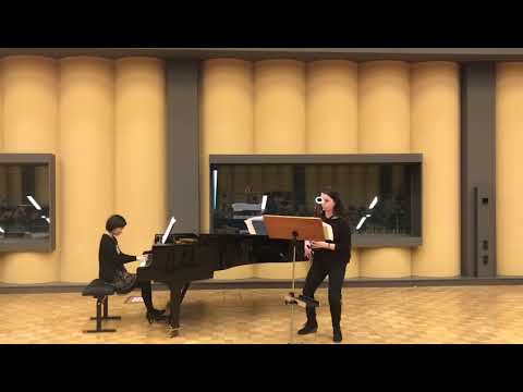 Richard Wagner - Tout n´est qu´ images fugitives