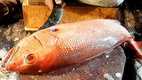 Amazing Red Snapper Fish Cutting Video | Red Snapper Fish Cutting Skills