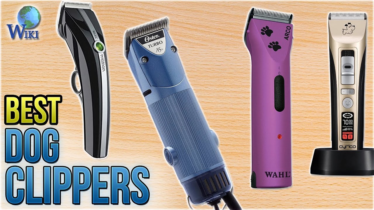 9 Best Dog Clippers 2018 - YouTube