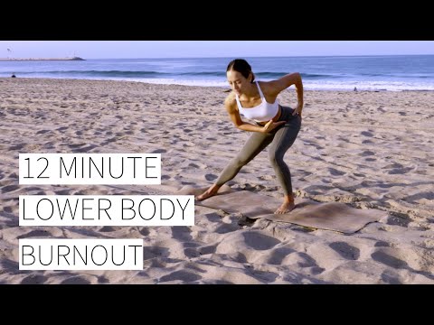 12 MINUTE LOWER BODY BURN OUT - low impact, no equipment, all fitness levels! | Dr. LA Thoma Gustin