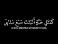 مشاري العفاسي آيات من سورة البقرة قرآن شاشه سوداء