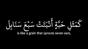 مشاري العفاسي | آيات من سورة البقرة - قرآن شاشه سوداء
