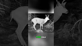 PIR Sensor Explained: How Motion Detectors Activate Cameras #shorts