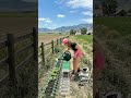 Don’t Throw Away Your Plastic Bottles! ♻️ Genius DIY Garden Border Hack
