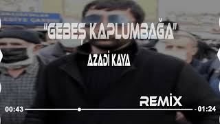 Gebeş Kaplumbağa Tiktok Remix - ( Yasin Erdemir Remix ) Bana Anlat Gebeş Kaplumbağa | Azadi Kaya