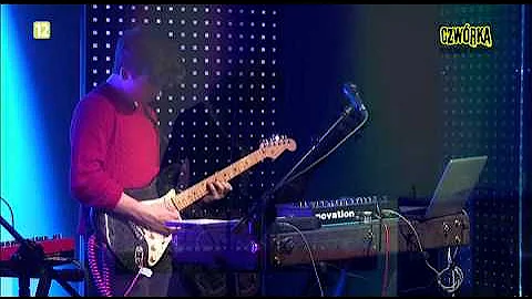 The Dumplings - Mewy (Live At Czwórka 09.02.2015)