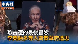 追思珍古德　李奧納多：世人有責任守護自然世界