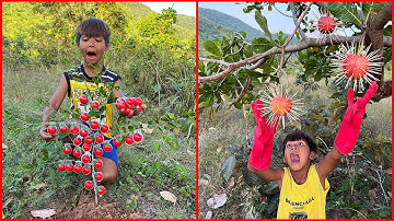 Survival Skills: SMART idea and USEFUL with single mom in forest #bushcraft #camping #outdoors #idea