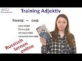 Russisch lernen. Training Adjektivs