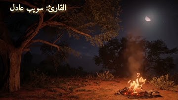 سورة الإسراء كما لم تسمعها من قبل الطالب سويب عادل