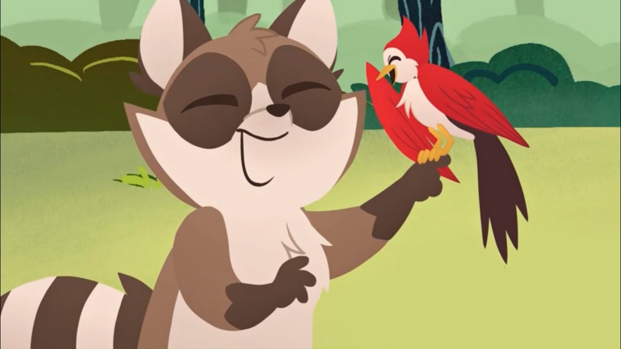 El mapache y el pájaro - YouTube