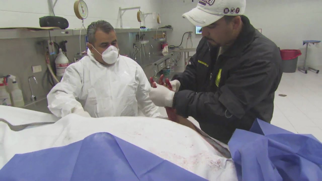 AJE Mexico Juarez corpses problem - YouTube