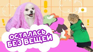 КАССИ ОСТАЛАСЬ БЕЗ ВЕЩЕЙ!😨