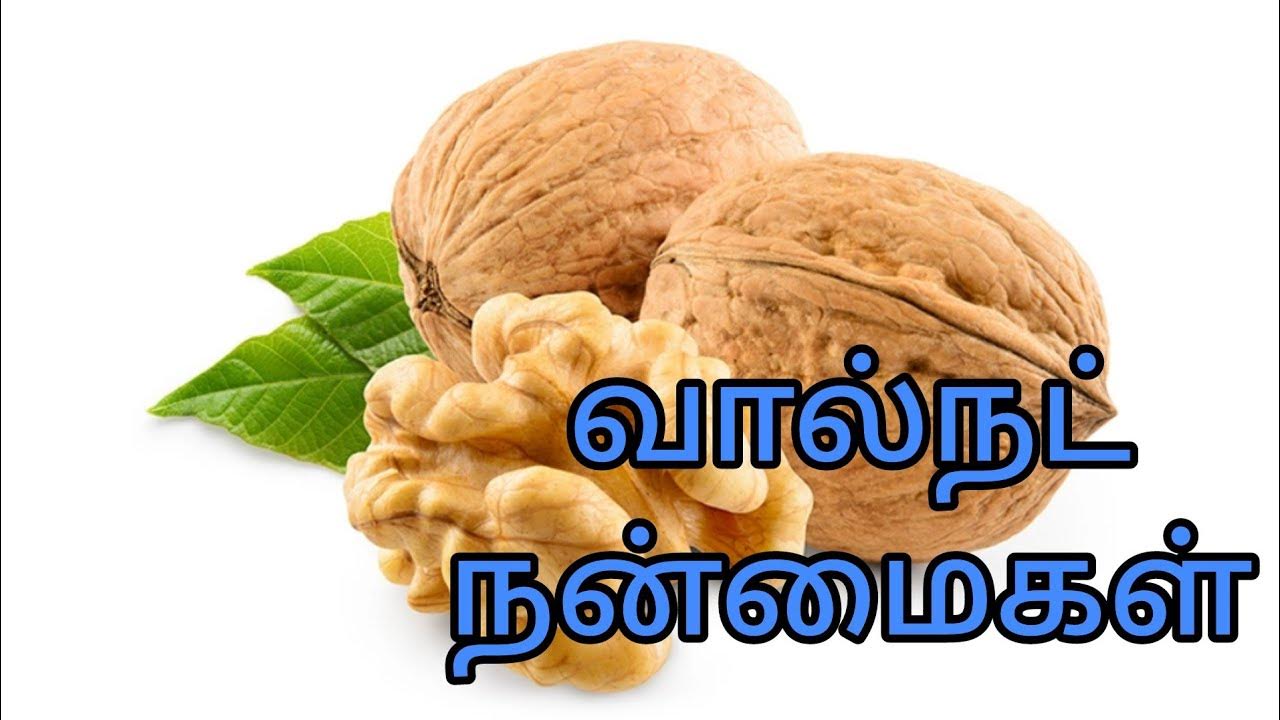 வால்நட் சாப்பிடுவதால்கிடைக்கும்நன்மைகள்/Benefits of walnuts Tamil