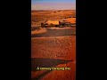 Ancient Heist! #shorts #mystery