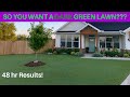 Ironite vs Liquid Iron for a DARK GREEN LAWN