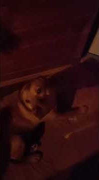 youtube.com