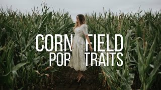 Corn Field Portraits!